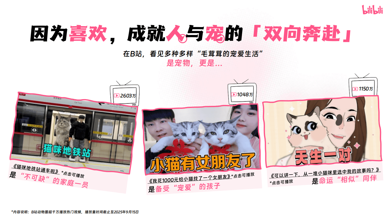 哔哩哔哩运营：哔哩哔哩2025年宠物行业营销通案