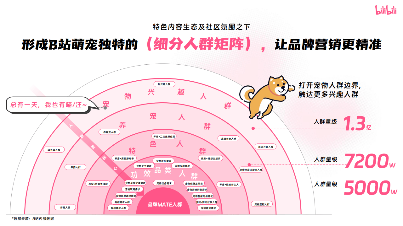 哔哩哔哩运营：哔哩哔哩2025年宠物行业营销通案