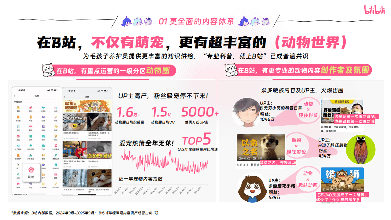 哔哩哔哩运营：哔哩哔哩2025年宠物行业营销通案