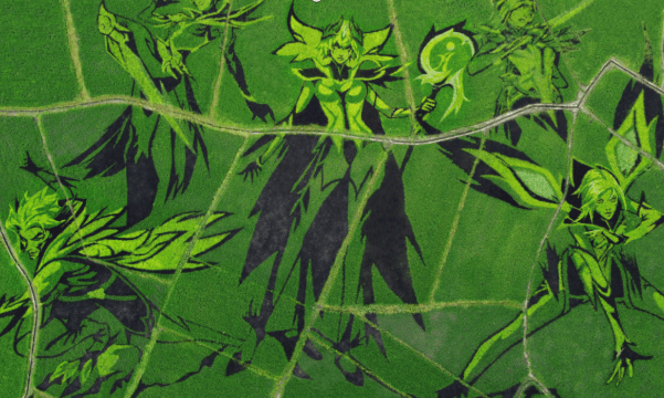 翰墨稻艺联手腾讯：让LOL英雄“扎根”瑞金老区，绘就助农新图景